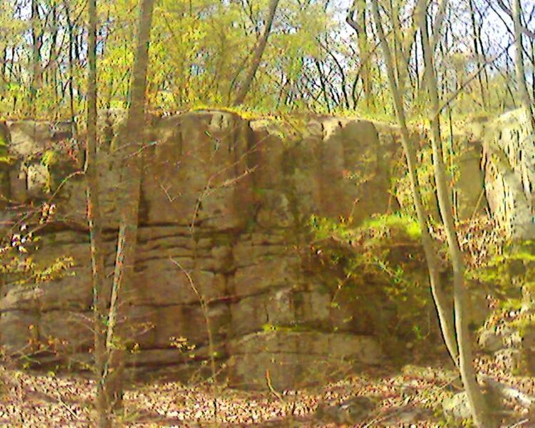 A rugged rock formation is partially covered by sparse foliage, surrounded by tall trees in a wooded area. The cliff features visible layers and textures, indicating natural erosion. The image captures a serene outdoor environment, with hints of early autumn colors in the leaves. DeSoto State Park mountain bike trail.