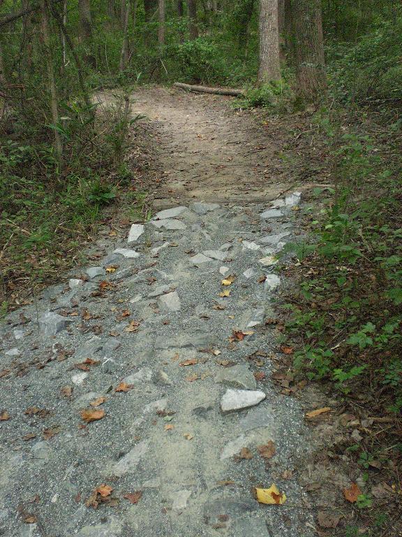 A narrow trail in a wooded area, partially covered with rocks and gravel, leading into the distance. Surrounding the path are green plants and trees, with a few fallen leaves scattered along the ground. The trail has a natural, rustic appearance, inviting exploration. Jetton Park mountain bike trail.