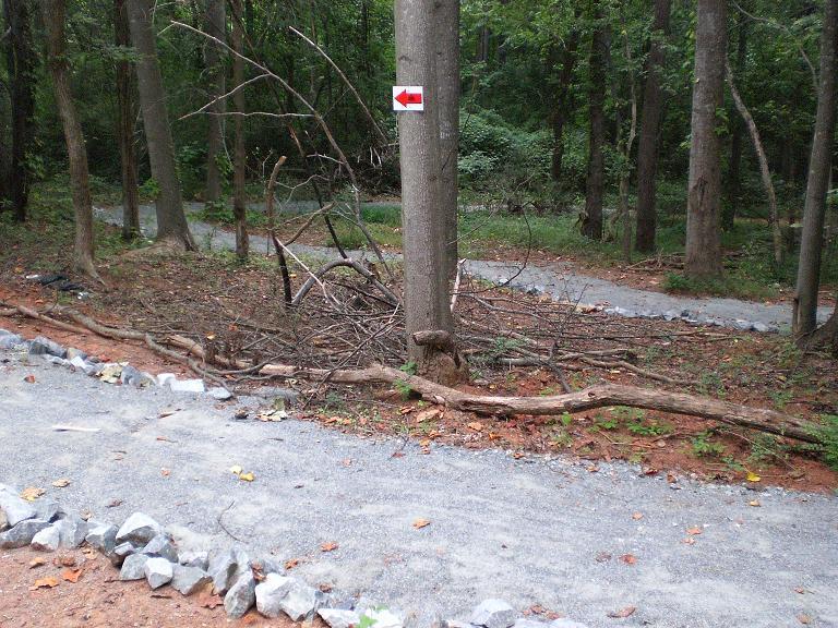 A forested pathway with winding trails marked by gravel and surrounded by trees. A tree trunk features a sign with a red arrow pointing left, indicating the direction of the trail. Twigs and branches are scattered along the ground, contributing to the natural woodland setting. Jetton Park mountain bike trail.