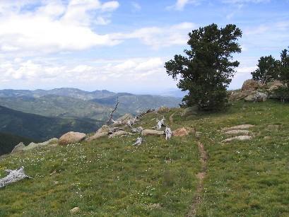 A scenic mountain landscape featuring a grassy slope with scattered rocks and a solitary tree. In the background, rolling hills and mountains stretch out under a partly cloudy sky, creating a serene natural setting. A narrow dirt path weaves through the foreground. St. Charles mountain bike trail.