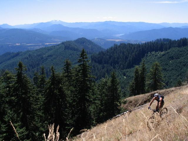 A mountain biker navigating a rocky trail on a hillside, surrounded by lush green forests and distant mountain ranges under a clear blue sky. The landscape features various shades of green from the coniferous trees, with mountains in the background. Alpine Trail mountain bike trail.