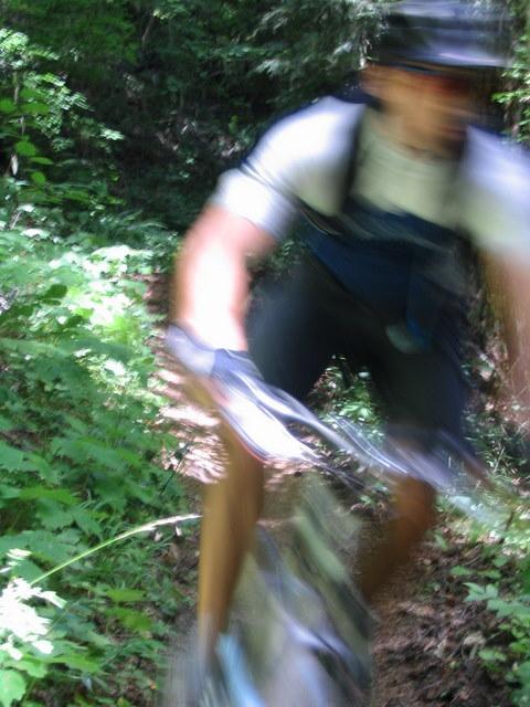 A blurred image of a mountain biker riding through a dense, green forest trail. The motion creates a sense of speed and excitement, with foliage visible on either side of the path. Alpine Trail mountain bike trail.