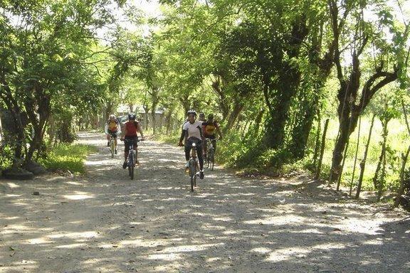 Bicyclists riding along a dirt path surrounded by lush green trees and plants, creating a natural and serene environment. The sunlight filters through the canopy, highlighting the riders as they navigate the scenic trail. Cordillera Central mountain bike trail.
