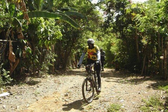 A person riding a mountain bike along a narrow dirt path surrounded by dense greenery and trees. The cyclist is wearing a helmet and a colorful jersey, with sunlight filtering through the leaves above. Cordillera Central mountain bike trail.
