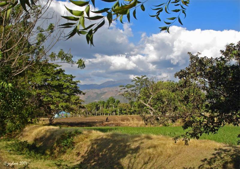 A scenic landscape featuring lush green fields, trees, and distant mountains under a partly cloudy sky. The foreground shows a patch of cultivated land, while the background reveals a rolling mountain range and scattered palm trees. The view is framed by leaves from nearby trees, creating a tranquil and natural atmosphere. Cordillera Central mountain bike trail.