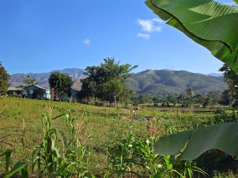 A scenic view of a rural landscape featuring lush green fields, a few residential structures, and distant mountains under a clear blue sky. The foreground includes tall corn plants and banana leaves, creating a vibrant natural setting. Cordillera Central mountain bike trail.