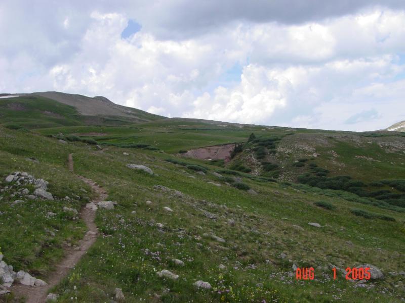 A scenic landscape featuring rolling green hills and a winding dirt path. The foreground shows rocky terrain with patches of grass and small flowers, while the background is dominated by gentle slopes and a partly cloudy sky. Colorado Trail: Searle Pass and Kokomo Pass (Copper Mountain to Camp Hale) mountain bike trail.