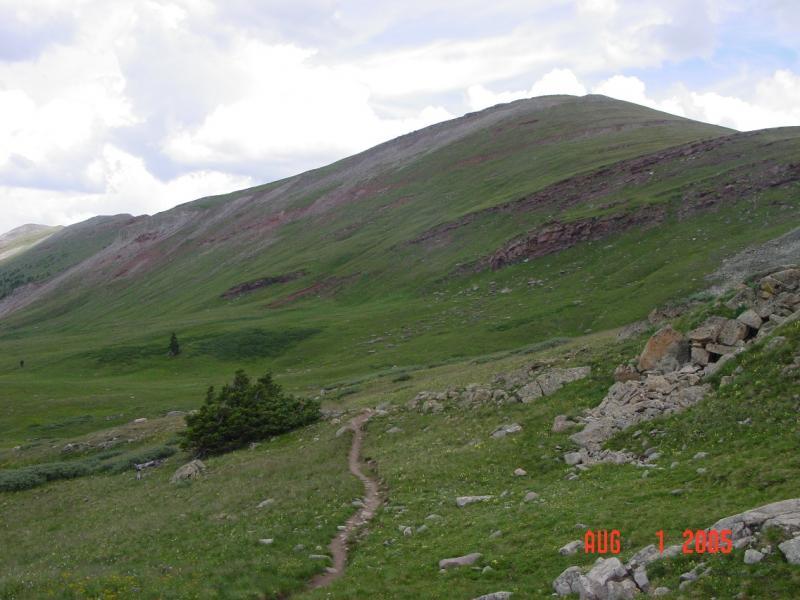 A scenic view of a green hillside with a winding dirt path leading through the landscape. The slope is dotted with patches of grass and small rocks, with a few trees visible in the foreground. The sky is partly cloudy, adding depth to the natural setting. Colorado Trail: Searle Pass and Kokomo Pass (Copper Mountain to Camp Hale) mountain bike trail.