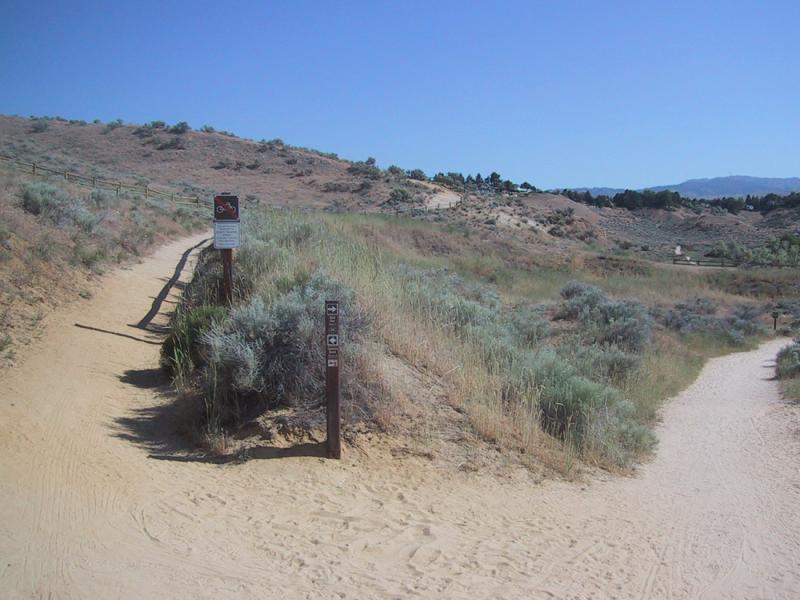 Two sandy pathways diverge in a natural landscape, surrounded by green shrubs and gentle hills under a clear blue sky. Trail markers indicate directions for hikers. Red Fox Loop mountain bike trail.