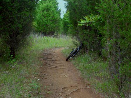 A narrow dirt path winding through a forested area, lined with green trees and bushes. A bicycle leans against the vegetation on the right side of the trail. Two Creeks Trail Area mountain bike trail.