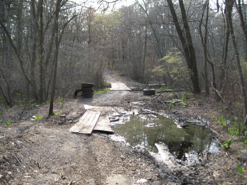 A dirt path winding through a wooded area, featuring wooden planks laid over a puddle and discarded tires nearby. The surrounding trees are sparse, indicating early spring, with some green vegetation beginning to emerge. Sans Souci Preserve mountain bike trail.