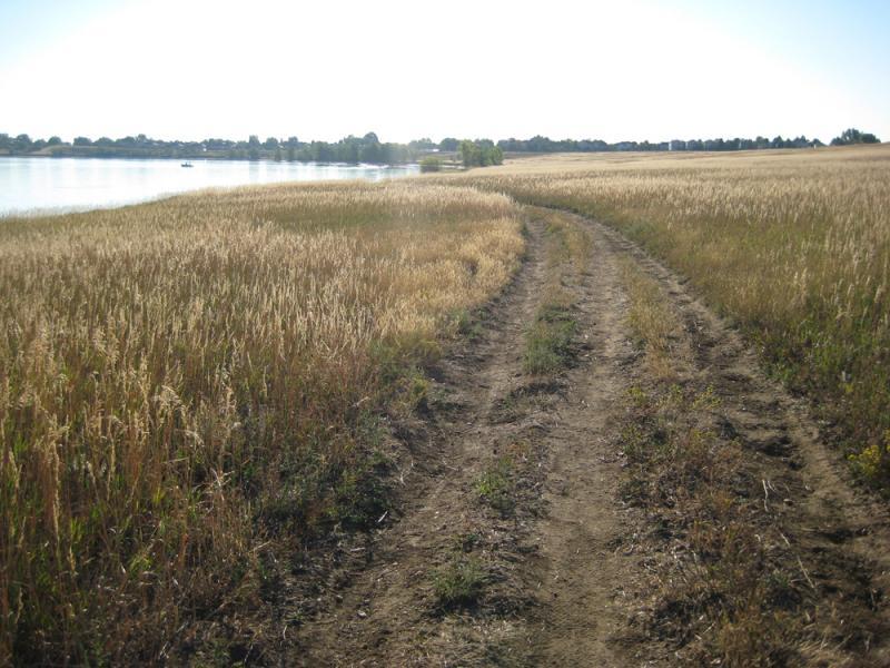 A dirt path winding through tall grass next to a calm body of water, with trees lining the shore and a clear blue sky above. Standley Lake mountain bike trail.