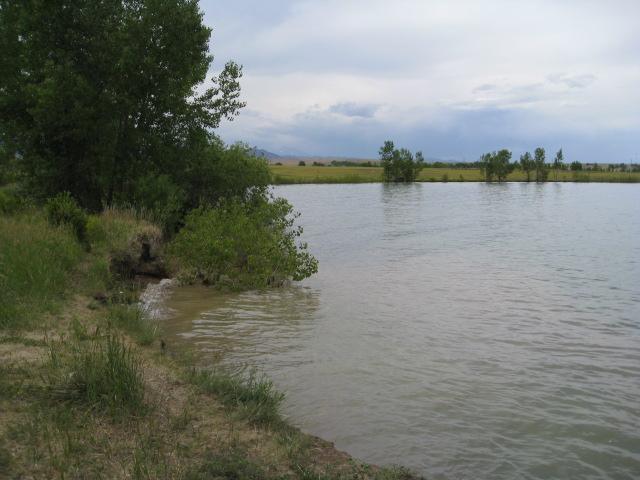 A serene riverside scene featuring calm water reflecting the sky. The shoreline is lined with grassy areas and trees, with some bushes near the water's edge. In the background, open fields and additional greenery can be seen under a cloudy sky. Standley Lake mountain bike trail.