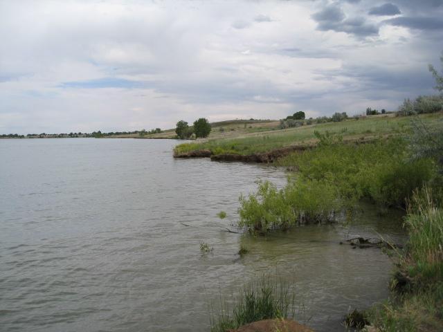 A tranquil lakeside view with gentle waves lapping against the shore, featuring grassy banks and scattered shrubs. In the background, rolling hills and a cloudy sky create a serene atmosphere. Standley Lake mountain bike trail.
