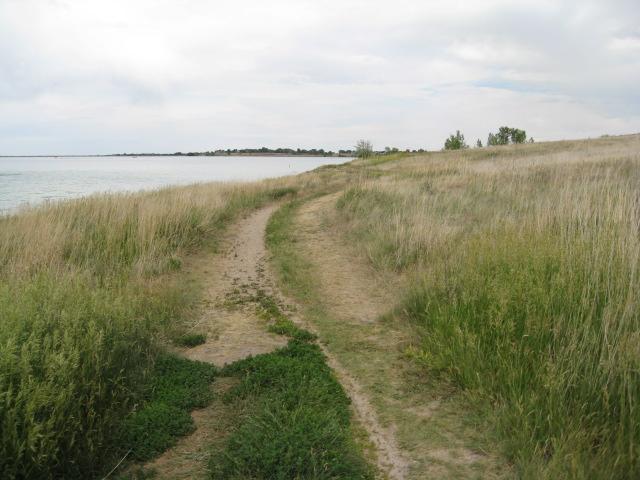 A narrow dirt path winding through tall grass along the edge of a calm lake under a cloudy sky. Standley Lake mountain bike trail.