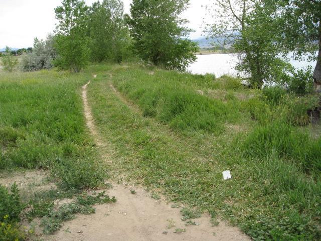 A grassy pathway leading toward a body of water, bordered by trees and underbrush. The path is slightly worn, showing signs of frequent use. In the foreground, there are patches of sandy soil and colorful wildflowers. The scene is peaceful and natural, with a cloudy sky overhead. Standley Lake mountain bike trail.