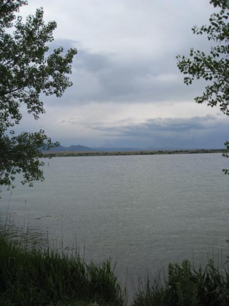 A serene view of a calm lake surrounded by lush greenery. The sky is overcast with gray clouds, and distant mountains are visible along the horizon. Tall grass and tree branches frame the scene, creating a peaceful natural atmosphere. Standley Lake mountain bike trail.