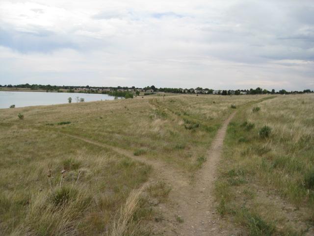 A grassy landscape with a dirt path splitting into two directions. To the left, the path leads towards a small body of water, while the right path curves along a grassy hill. In the background, a line of trees and houses can be seen under a cloudy sky. Standley Lake mountain bike trail.