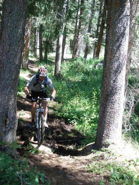 A mountain biker navigating a dirt trail in a forest setting, surrounded by tall trees and greenery. The rider is wearing a helmet and biking gear, focused on maneuvering through a rugged section of the path. Sunlight filters through the leaves, casting dappled shadows on the ground. French Creek Canyon mountain bike trail.