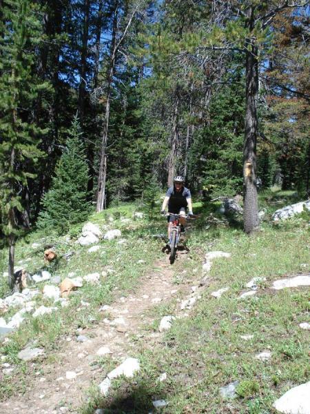 A mountain biker navigating a rocky trail through a lush green forest, surrounded by tall trees and clear blue skies. French Creek Canyon mountain bike trail.