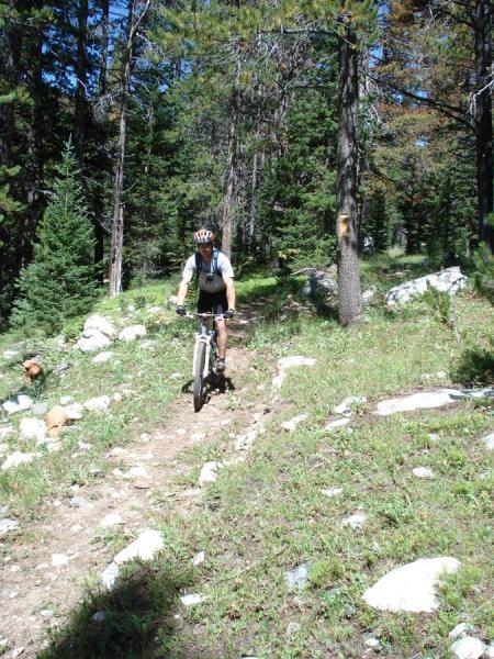 A mountain biker riding on a narrow dirt trail surrounded by tall trees and greenery in a forested area. Sunlight filters through the foliage, illuminating the path and rocks along the trail. French Creek Canyon mountain bike trail.