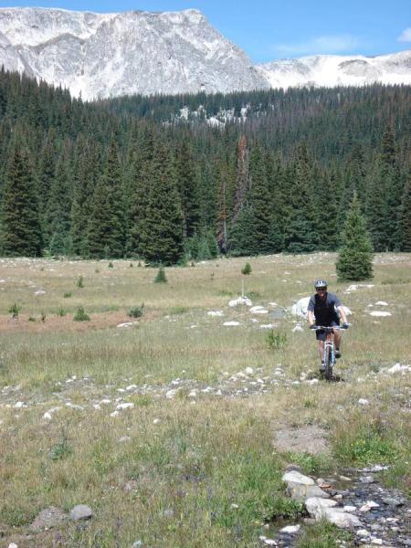 A mountain biker riding through a grassy clearing surrounded by dense pine trees, with snow-capped mountains in the background under a blue sky. French Creek Canyon mountain bike trail.