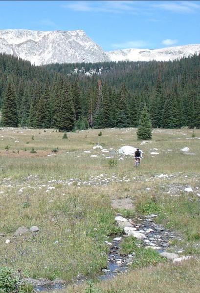 A hiker walking along a rocky path in a lush green meadow, surrounded by tall coniferous trees and distant snow-capped mountains under a clear blue sky. A small stream flows through the foreground, adding to the serene natural landscape. French Creek Canyon mountain bike trail.