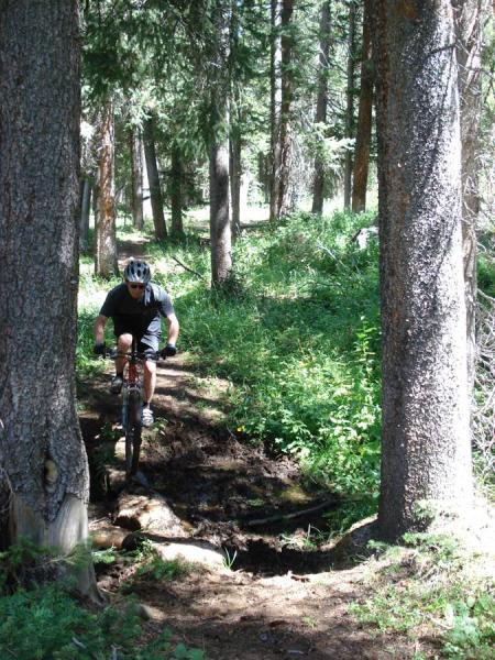 A mountain biker navigates a dirt trail surrounded by tall trees and lush greenery, with sunlight filtering through the forest. The rider is wearing a helmet and riding a bicycle over a small creek or muddy area on the trail. French Creek Canyon mountain bike trail.