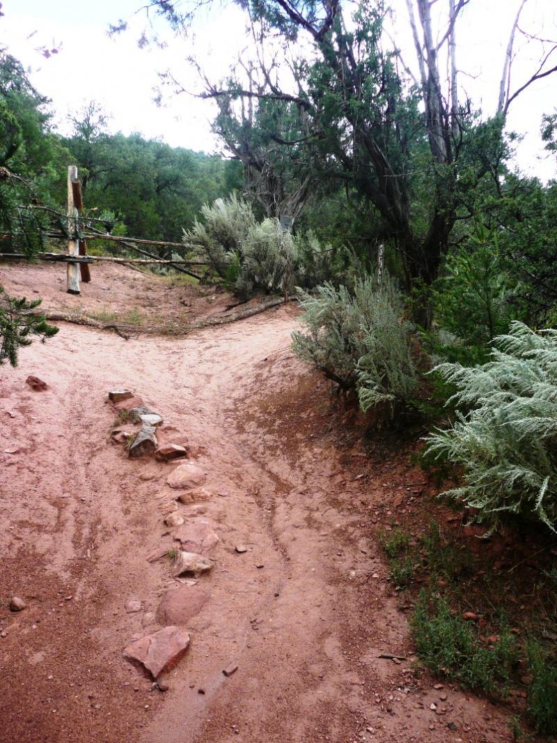 A rugged dirt trail forks in a natural setting, surrounded by green shrubs and trees. The pathway is marked by scattered rocks and soft earth, with a wooden barrier in the background. The sky above is cloudy, suggesting an overcast day. Red Hill mountain bike trail.