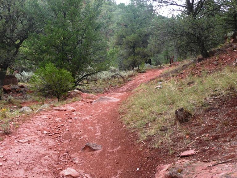 A winding dirt trail surrounded by lush green vegetation and scattered rocks, leading through a forested area with red soil and grass on either side. Red Hill mountain bike trail.