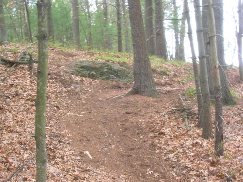 A forest pathway leading upwards, surrounded by tall trees and scattered leaves on the ground. A large rock is visible along the trail, indicating a natural setting ideal for hiking or exploring. Landlocked Forest mountain bike trail.
