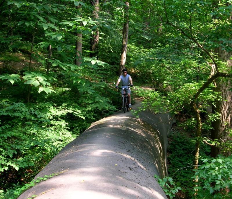 A cyclist riding along a wide, concrete pipe that serves as a trail, surrounded by lush green trees and foliage in a wooded area. Sunlight filters through the leaves, creating dappled light on the path. Wissahickon Valley Park mountain bike trail.