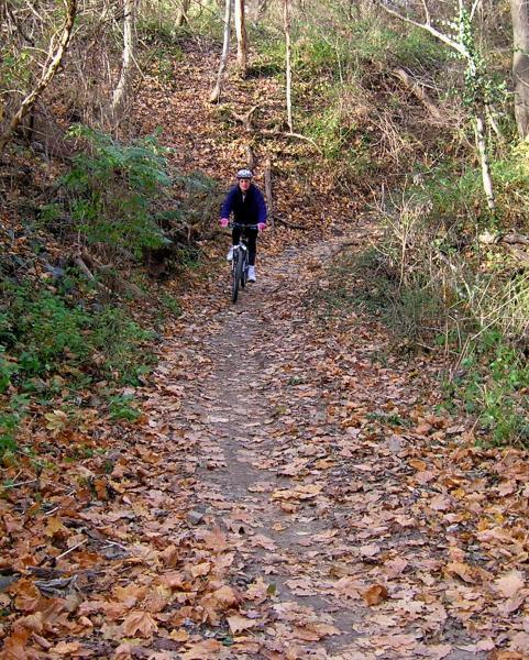 A person riding a bicycle on a dirt trail covered with fallen leaves, surrounded by lush greenery and trees. The scene captures a peaceful moment in nature during autumn. Wissahickon Valley Park mountain bike trail.