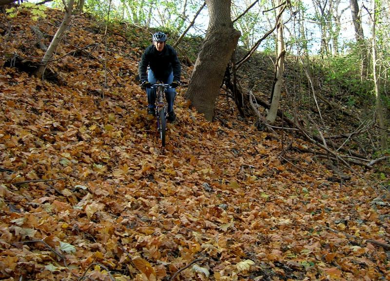 A mountain biker navigating a steep, leaf-covered slope in a wooded area, showcasing autumn foliage and natural surroundings. The biker is wearing a helmet and dark clothing, focused on maintaining balance on the bike as they traverse the terrain. Wissahickon Valley Park mountain bike trail.