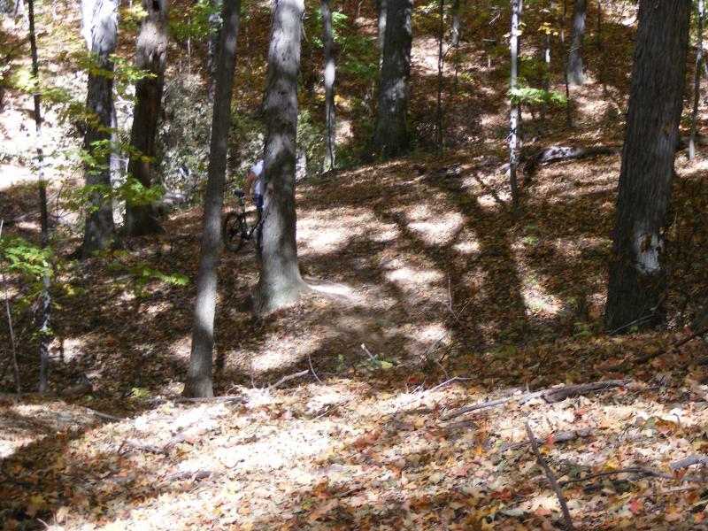 A person riding a mountain bike along a trail in a wooded area during autumn, surrounded by trees with colorful fall leaves scattered on the ground, casting shadows on the path. Great Seal State Park mountain bike trail.