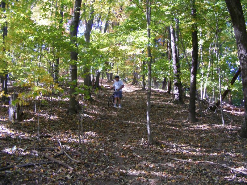 A person standing on a dirt trail in a wooded area, surrounded by trees with green and yellow leaves. The ground is covered in fallen leaves, and the individual is holding a bicycle. Sunlight filters through the trees, creating a warm, natural atmosphere. Great Seal State Park mountain bike trail.