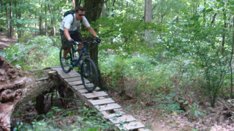 A mountain biker riding over a wooden bridge on a trail surrounded by dense greenery in a forested area. Great Seal State Park mountain bike trail.