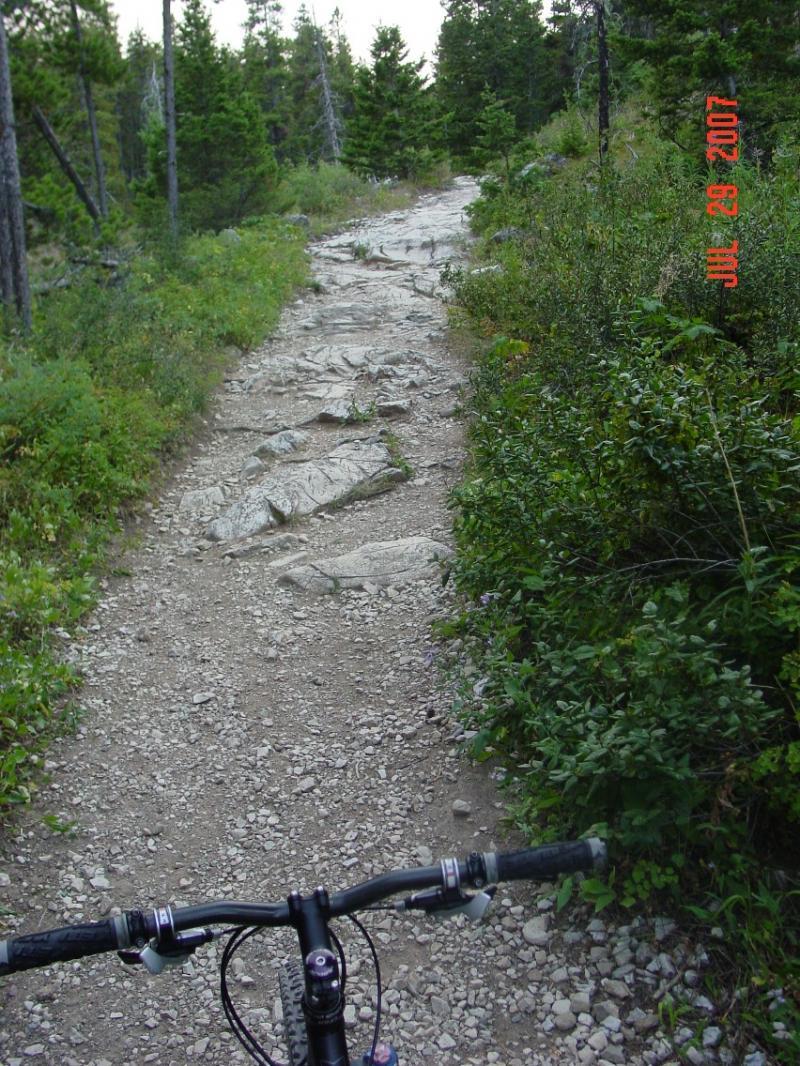 Alt text: A rocky mountain biking trail surrounded by dense greenery and tall trees, viewed from the perspective of a cyclist