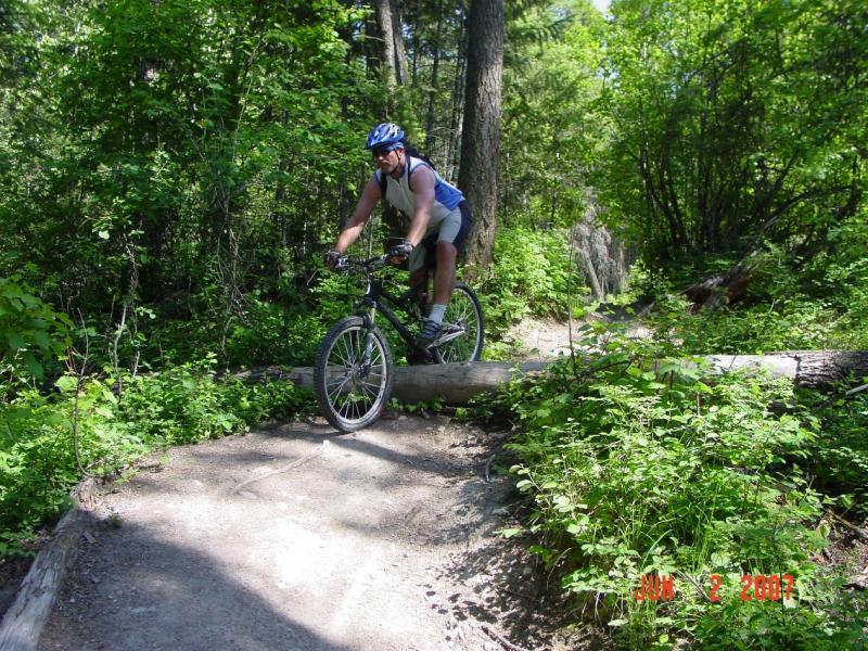 A person riding a mountain bike on a dirt trail in a lush green forest, navigating over a log obstruction. The cyclist is wearing a helmet and athletic gear, surrounded by trees and dense foliage. Spencer Mountain mountain bike trail.