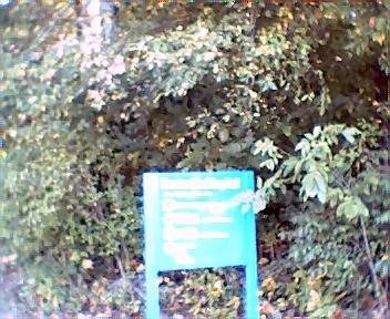 A green informational sign partially obscured by surrounding foliage, indicating directions or details related to a park or nature area. Athens Regional Park Trail mountain bike trail.