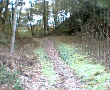 A dirt path lined with fallen leaves, leading into a wooded area with trees on either side. The trail is surrounded by greenery, with a slight incline visible in the background. Brush Creek mountain bike trail.