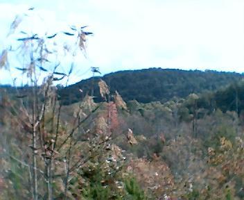 A scenic view of rolling hills covered in autumn foliage, with trees showing vibrant colors. The sky is partly cloudy, adding to the tranquil atmosphere of the landscape. Brush Creek mountain bike trail.