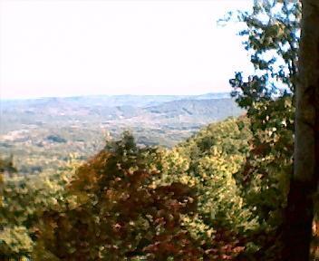 A scenic view of rolling hills and valleys, adorned with lush green trees and hints of autumn colors, under a clear blue sky. Starr Mountain mountain bike trail.