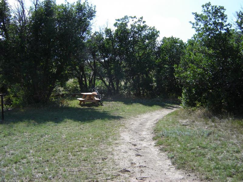 A winding dirt path leads through a grassy area bordered by dense greenery, with a wooden picnic table visible in the shade of trees on the left. The scene is bathed in sunlight, creating a tranquil outdoor setting. Hidden Mesa mountain bike trail.