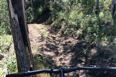 View from the handlebars of a pink mountain bike on a narrow dirt trail surrounded by lush greenery and trees. The path is flanked by a large tree on the left, with sun filtering through the leaves above. Long X mountain bike trail.