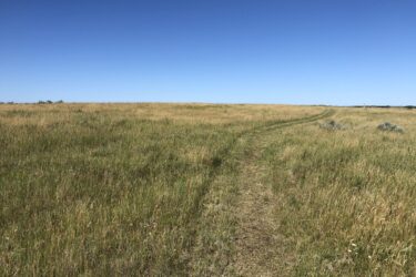 A wide view of a grassy landscape under a clear blue sky, featuring a dirt path winding through the tall grass. The horizon is flat, with a few distant shrubs visible. Long X mountain bike trail.