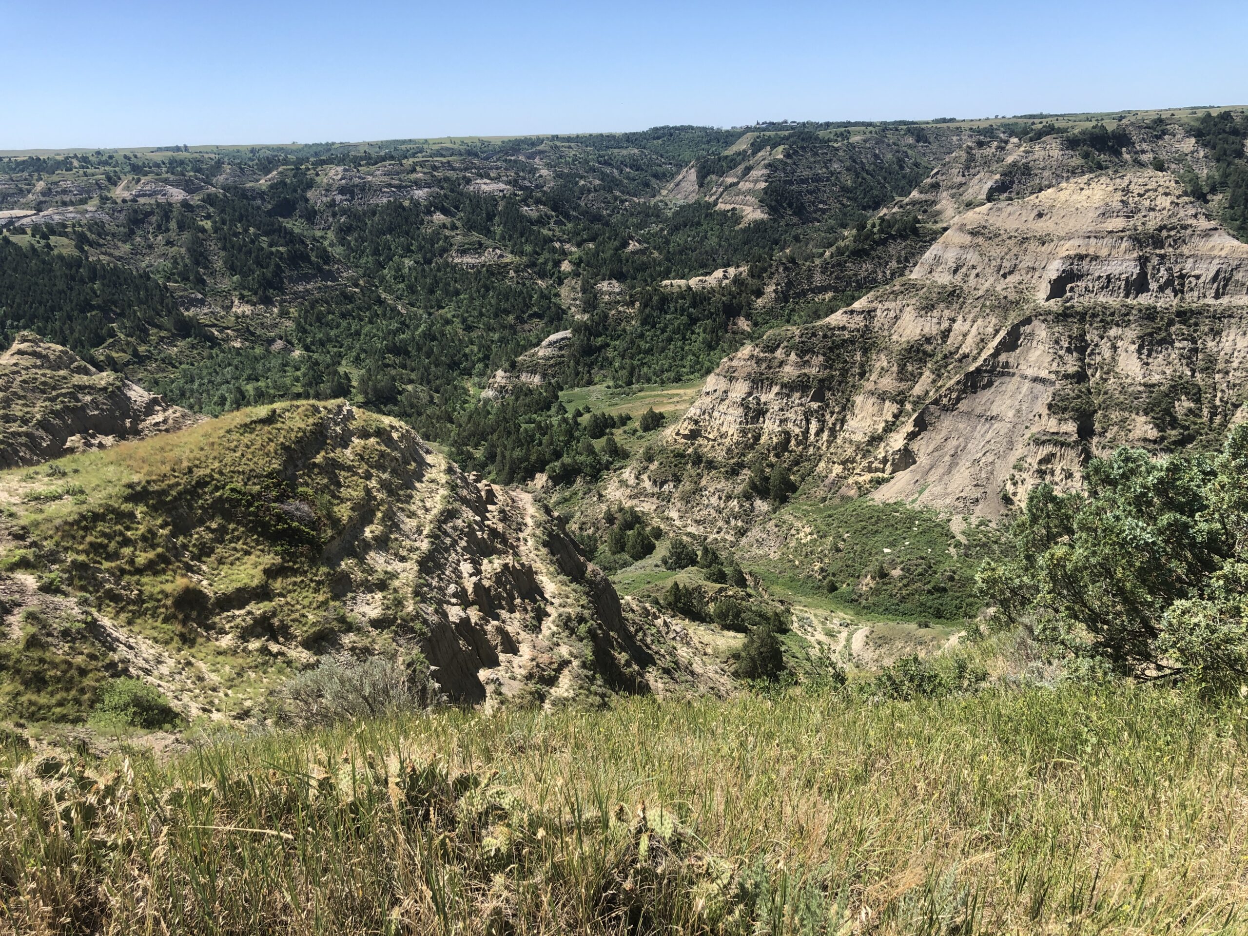 A panoramic view of a rugged landscape characterized by rolling hills and deep valleys, filled with green vegetation and patches of trees under a clear blue sky. Sunlight illuminates the layers of sedimentary rock formations, highlighting the natural beauty of the terrain. Long X mountain bike trail.