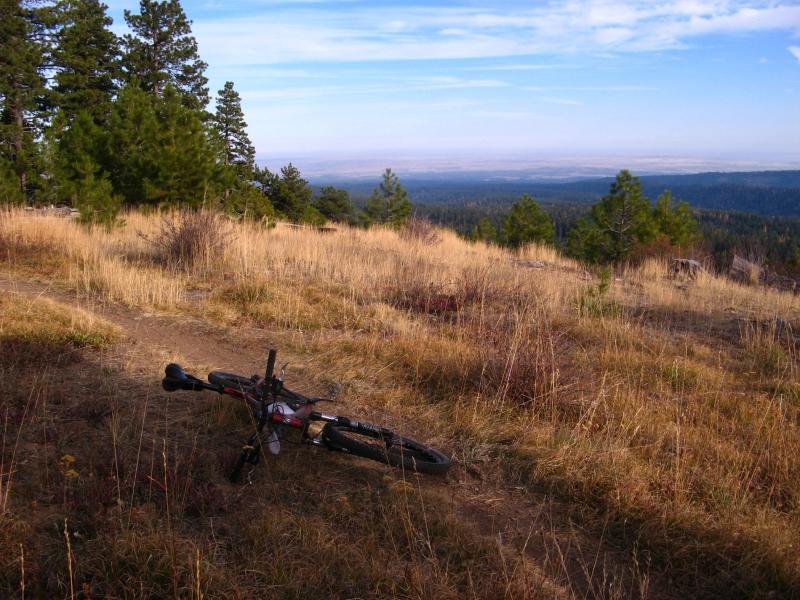 A mountain bike resting on a dirt path surrounded by tall grass and trees, with a panoramic view of mountains and valleys in the distance under a clear blue sky. 8 Mile Loop/ Tr #459 mountain bike trail.