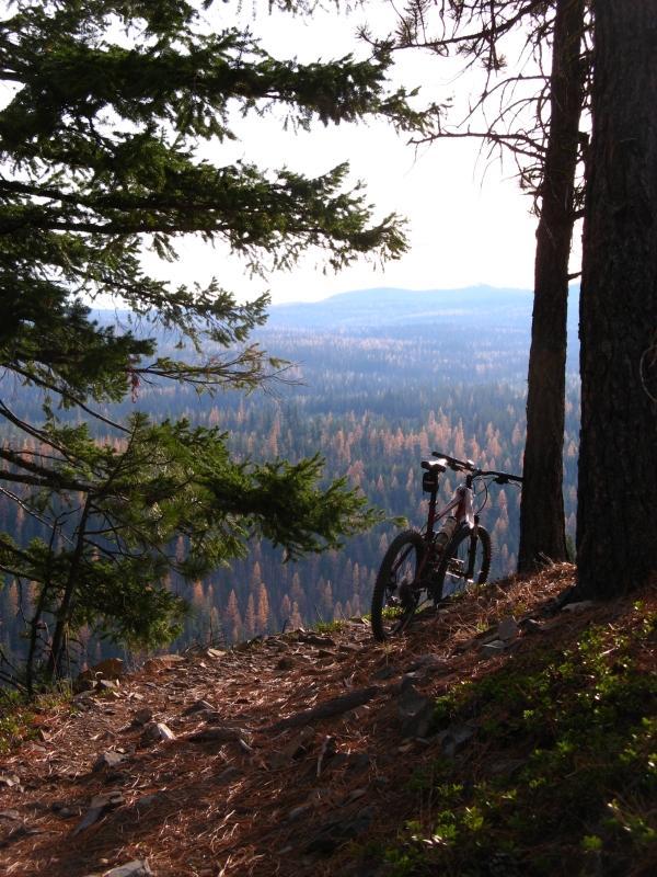 Mountain bike parked on a trail overlooking a scenic valley filled with trees and distant mountains, framed by lush pine branches. 8 Mile Loop/ Tr #459 mountain bike trail.