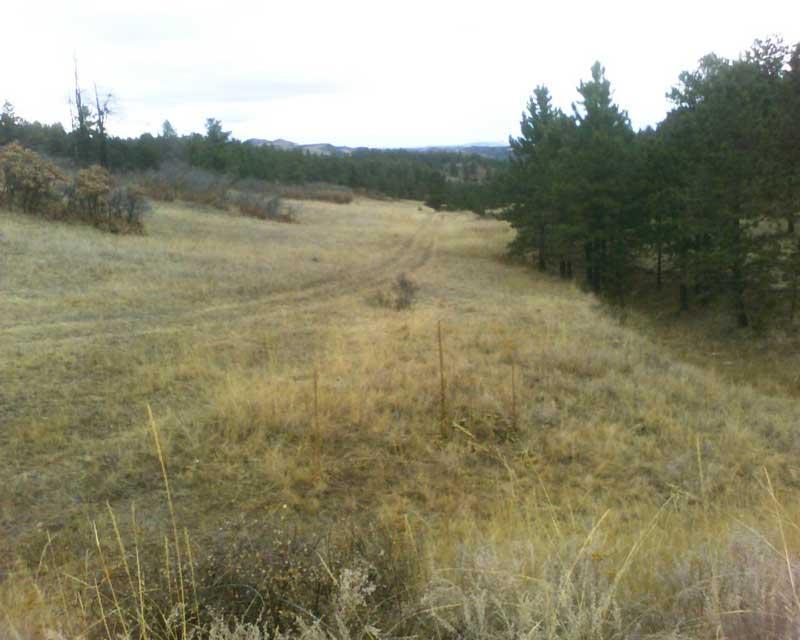 A scenic view of an open grassy field surrounded by trees, with a dirt path leading through the landscape and distant hills visible in the background, under a cloudy sky. Deer Haven Ranch mountain bike trail.